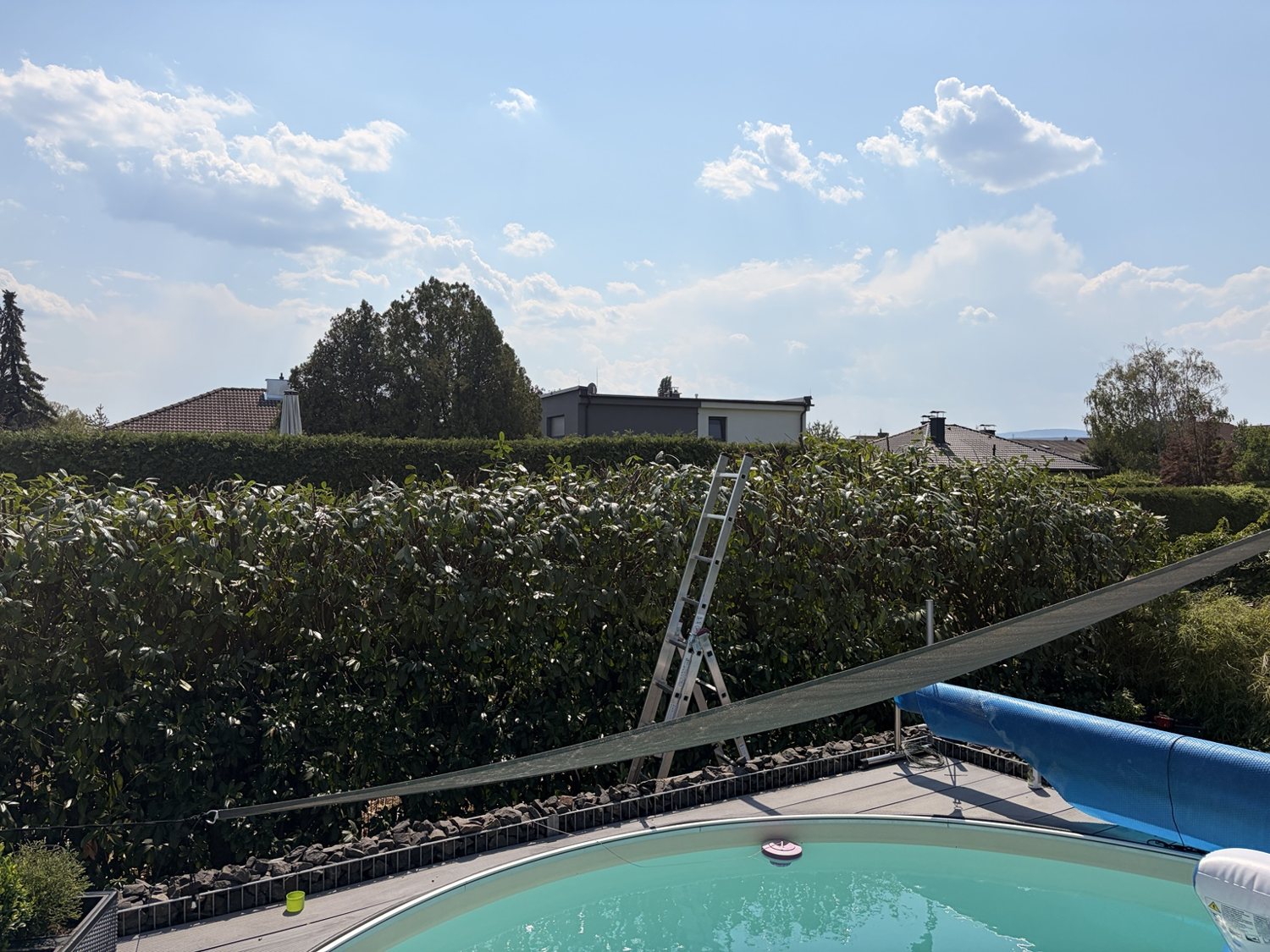 Lange Hecke im gepflegten Garten