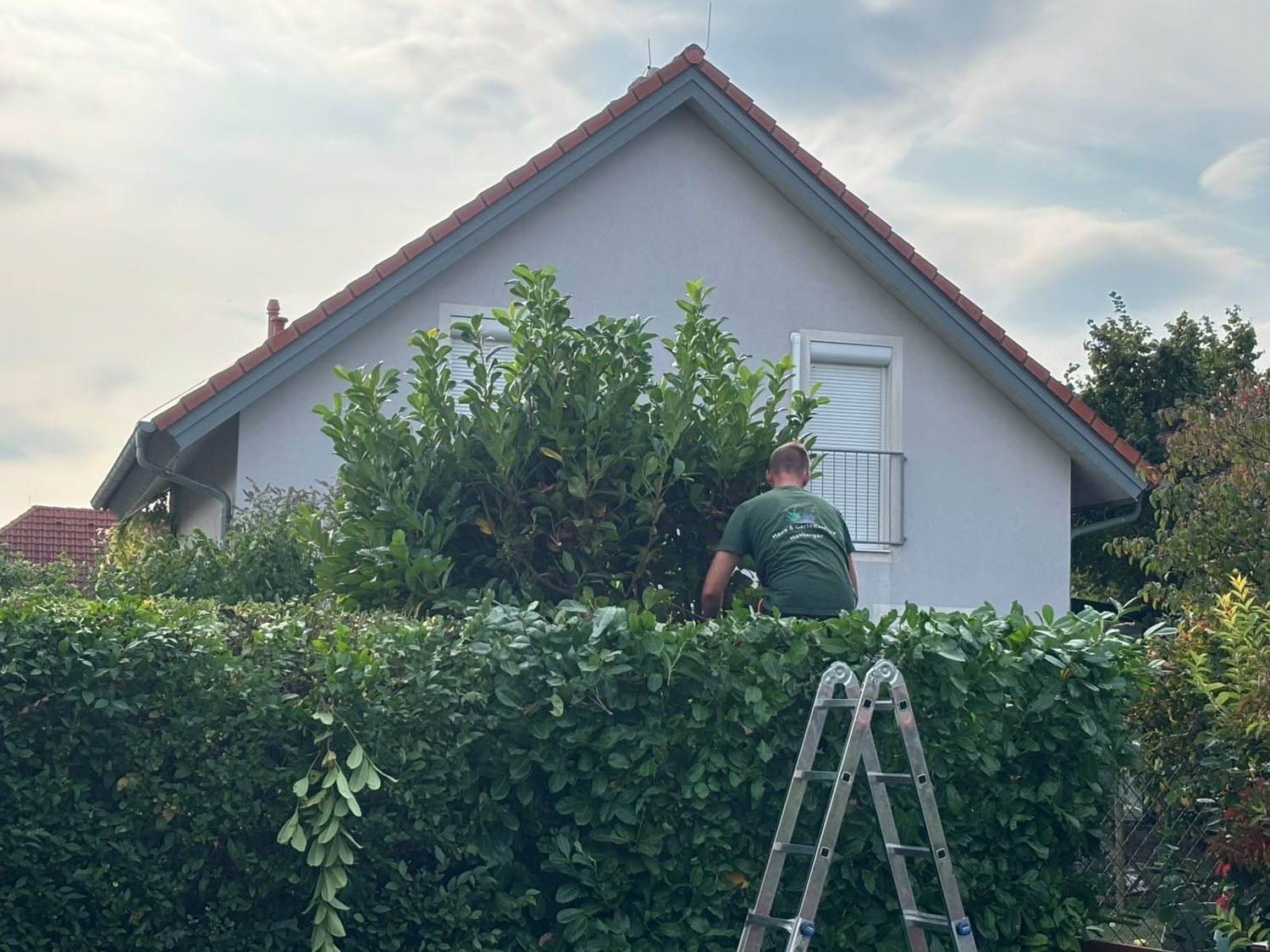 Hecken- und Strauchschnitt im Garten